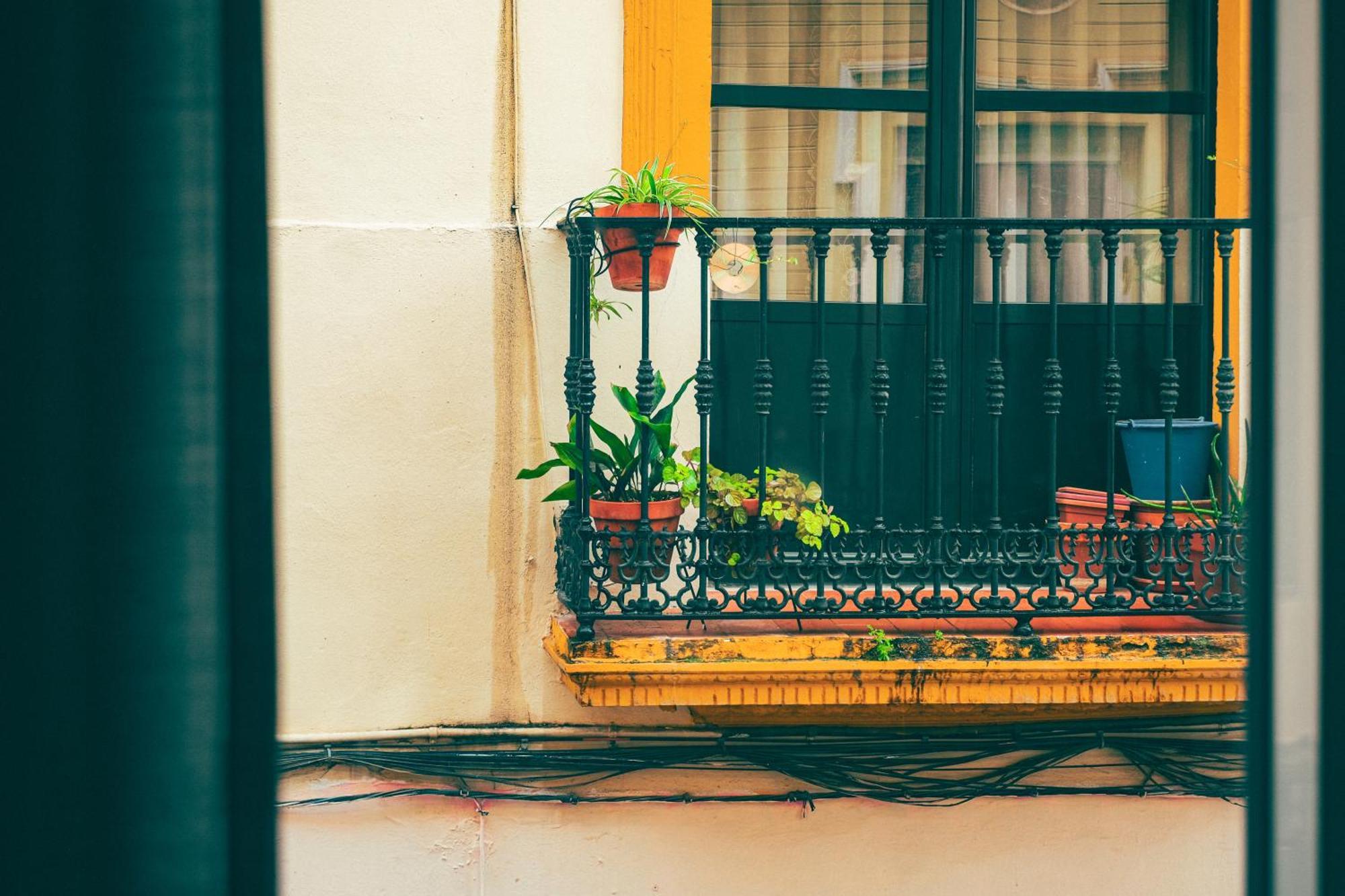 Casa San Roque Sevilla